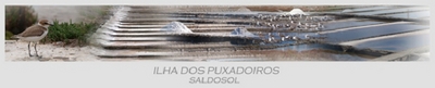 Sinal da marca ILHA DOS PUXADOIROS - SALDOSOL