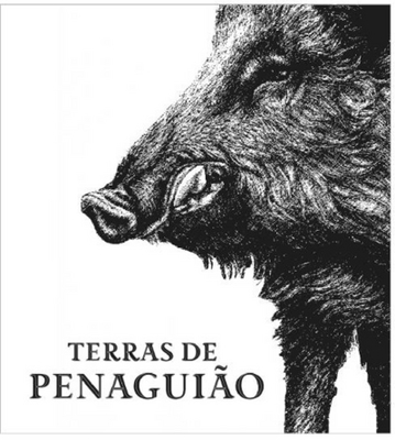 Sinal da marca TERRAS DE PENAGUIÃO