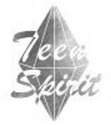 Sinal da marca TEENSPIRIT