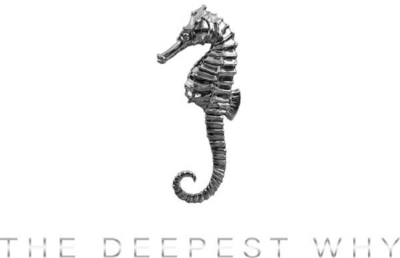 Sinal da marca THE DEEPEST WHY